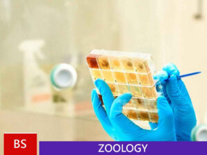 BS Zoology Botany